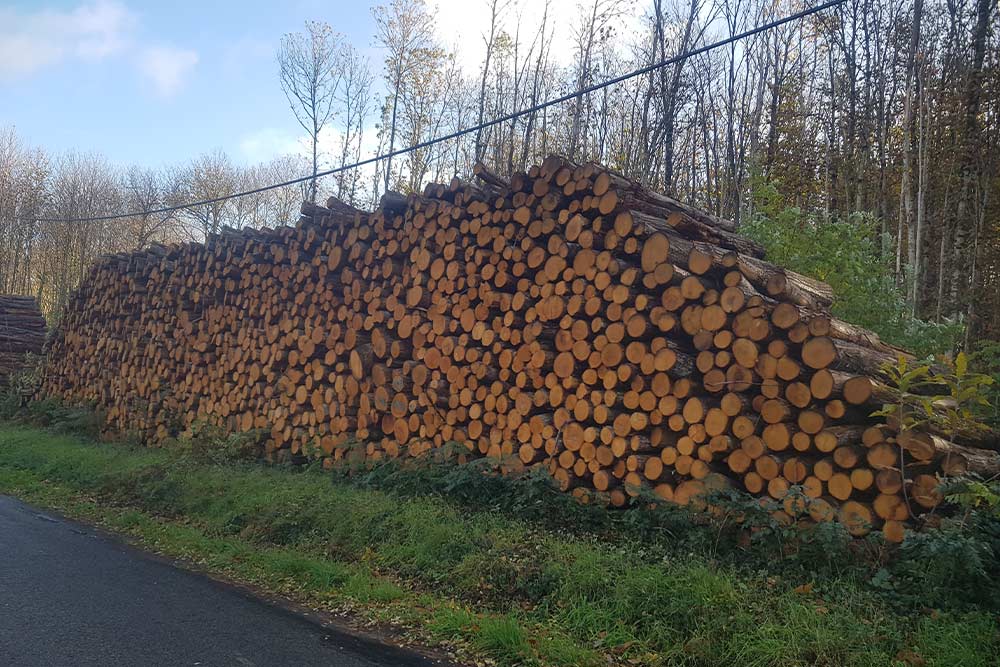 Bois de chauffage Châtaignier A Max de Bois de Chauffage — free download